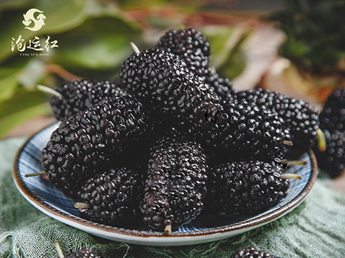 桑葚干是如何加工的？